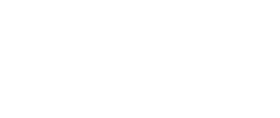 ICON Agility Services
